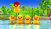 "Five Little Ducks" | On A Bus! | Little Baby Bum | Nursery Rhymes for Babies | Songs for Kids