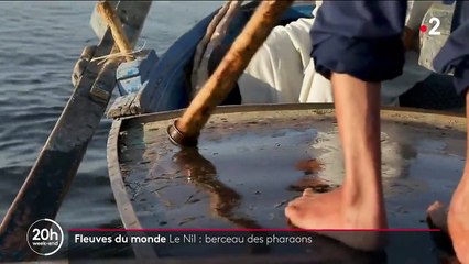 Égypte : le Nil, berceau du monde et ressource essentielle pour le pays