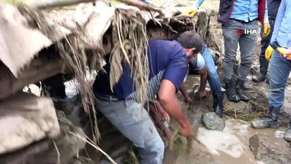 Yüksekova'da sel felaketi: 500 koyun sele kapılıp, telef ve kayboldu