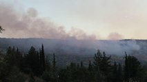 Son dakika haberleri | GAZİANTEP - Nizip ilçesinde ormanlık alanda çıkan yangın kontrol altına alındı