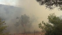 Köyceğiz'deki orman yangınını söndürme çalışmaları devam ediyor