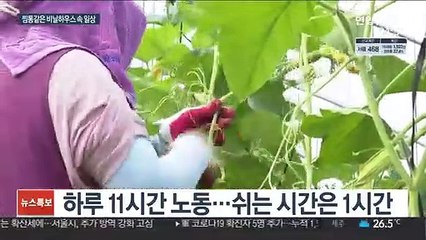 11시간 노동에 곰팡이 숙소…이주노동자의 여름