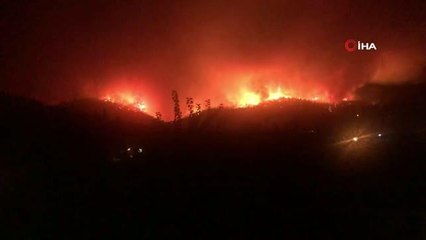 Son dakika! Milas'ta başlayan yangın Bodrum'a sıçradı