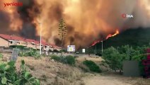Dünyanın ciğerleri yanıyor! 40’tan fazla ülkede ormanlar alevler içinde