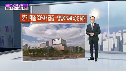 [기업기상도] '돈 풍년'에 맑은 기업 vs '허 찔린' 흐린 기업