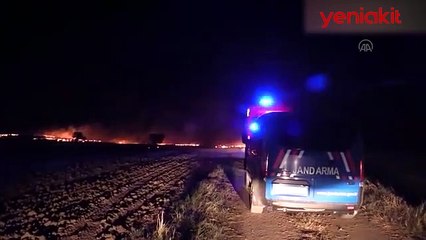 Anız yangını ayçiçeği tarlalarına sıçradı