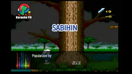 Zelle Sabihin Karaoke
