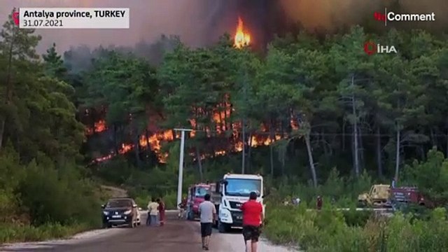 Türkei: Die Flammen von Manavgat