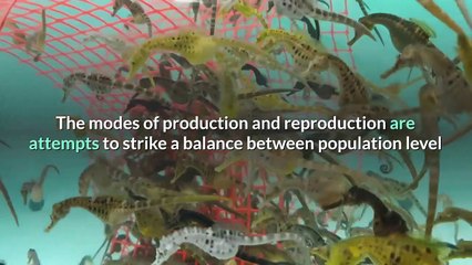 Social Theory: Marvin Harrris' Cultural Materialism Part 1