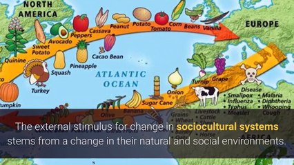 Understanding Sociocultural Systems: Key Principles Explained 🌍
