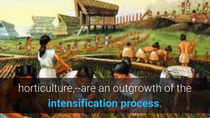 Social Theory: Sociocultural Materialism Part 2