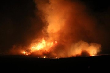 Anız yangını rüzgarın etkisiyle devasa boyuta ulaştı, ekili alanlar zarar gördü