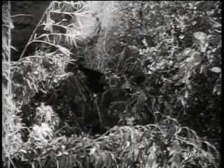 The Restless Gun Season 2 Episode 28 Four Lives