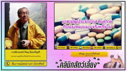 ยาสามัญประจำบ้าน อันตรายต่อน้องหมาแมว จริงหรือไม่ : FM91 คลินิกสัตว์เลี้ยง : 17 มกราคม 2564