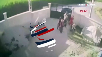 Konya'daki dehşetin detayları ortaya çıkıyor: 11 yıl önce  kediyle başladı katliamla sonuçlandı