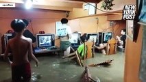 إعصار الفلبين لم يوقف عشاق ألعاب الفيديو: لعب مستمر بينما يغرق المكان