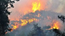 Milas’taki orman yangını sabaha kadar yandı, köylüler kabusu yaşadı