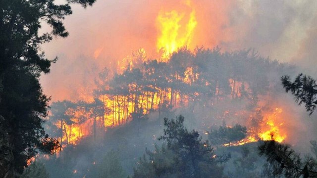 Milas’taki orman yangını sabaha kadar yandı, köylüler kabusu yaşadı