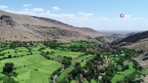 Mardin'in saklı cenneti: Gurs Vadisi doğasıyla hayran bırakıyor