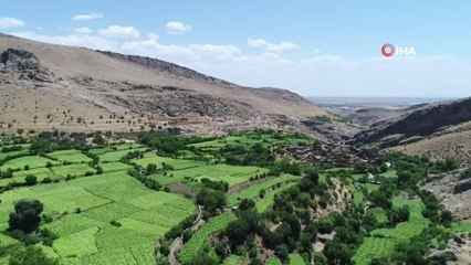 Mardin'in saklı cenneti: Gurs Vadisi doğasıyla hayran bırakıyor