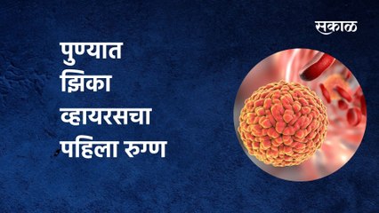 Zika Virus Update | पुण्यात झिका व्हायरसचा पहिला रुग्ण आढळला | Pune