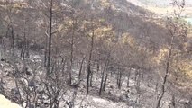 Son dakika haber: Silifke'deki orman yangını kontrol altına alındı