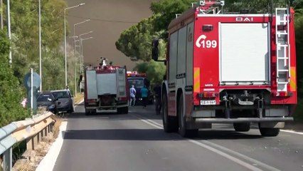 Mindenfelé ég az erdő a Földközi-tenger térségében