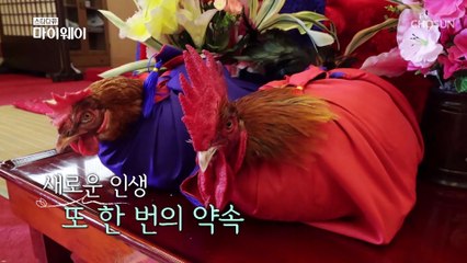 [최고의 순간] 설렘 가득↗ 전통 혼례 하는 ‘엄영수❤에스더 부부’ TV CHOSUN 20210801 방송