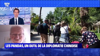Les pandas, un outil de la diplomatie chinoise - 01/08