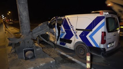 Çiçek açan günebakanlar ortaya kartpostallık görüntüler çıkardı