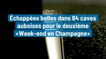 Échappées belles dans 84 caves auboises pour le deuxième «Week-end en Champagne»