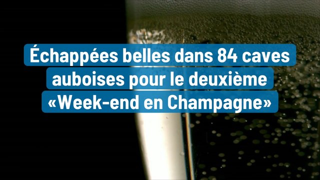 Échappées belles dans 84 caves auboises pour le deuxième «Week-end en Champagne»