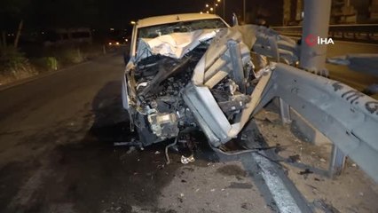 Çiçek açan günebakanlar ortaya kartpostallık görüntüler çıkardı