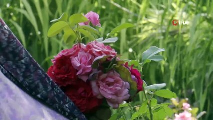 - Gazzeli kadınlar yetiştirdikleri bitkilerden doğal kozmetik ürünleri üretiyor