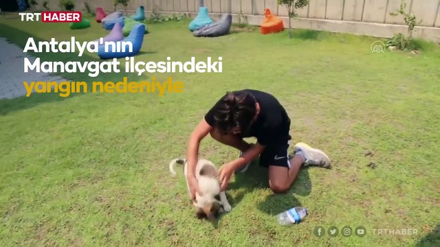 Yangından kurtarılan yavru köpek ekiplerin maskotu oldu