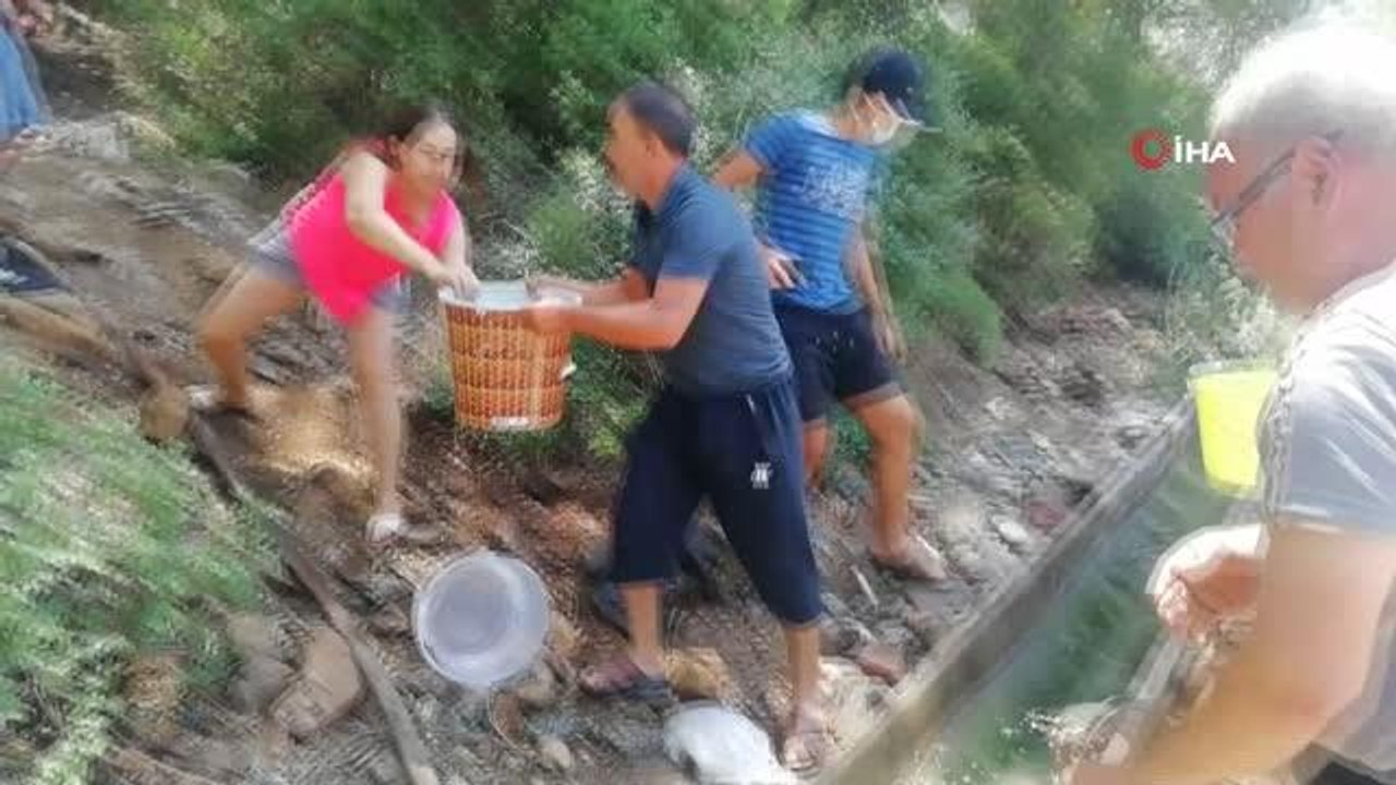 Kemer'de çıkan orman yangınları kontrol altına alındı