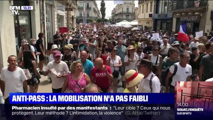 Les manifestations anti-pass sanitaires ont regroupés plus de personnes ce samedi que les rassemblements précédents