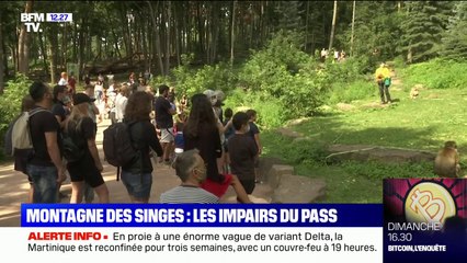 En Alsace, le parc animalier de la Montagne des singes a vu sa fréquentation baisser après l'instauration du pass sanitaire