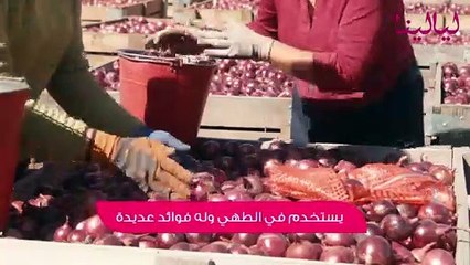 توب5-فوائد البصل