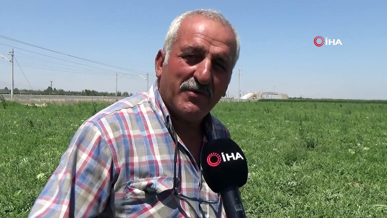 Karaman'ın karpuzu İstanbul'da sofralarda