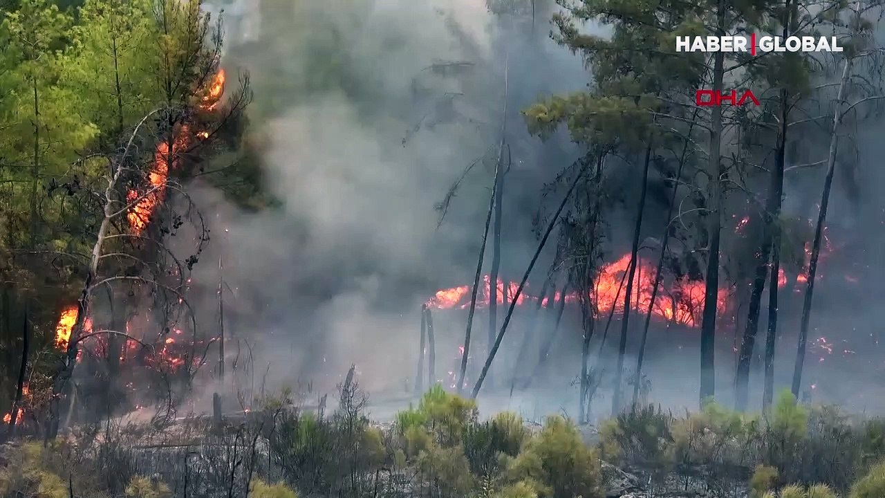 Yangın yerleşim bölgesine giriş yaptı! Evler alevler arasında kaldı