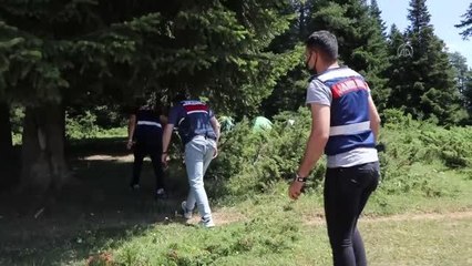 Bolu'da jandarma ekipleri, piknik alanları dışında ateş yakılmasına müsaade etmiyor