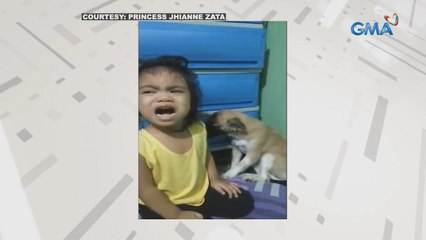 Bata, to the rescue sa aso na pinagalitan dahil sa sinirang kable | 24 Oras Weekend