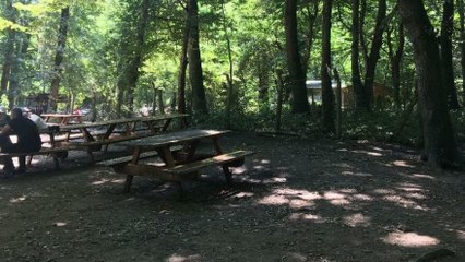 Belgrad Ormanı adeta ıssızlığa büründü