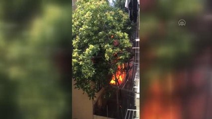 Son Dakika | Fatih'te hurdalık alanda yangın çıktı (2)