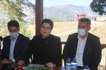 Son dakika haber! Bakan Yanık, Adana ve Osmaniye'deki yangın bölgelerinde (2)