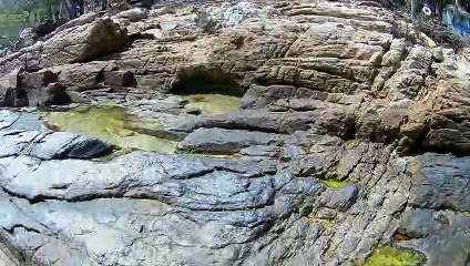 Fish on puddles on the rocks of Koh Samet