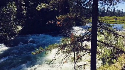 Beautiful Relaxing Music for stress relief, Meditation music, deep sleep music, Ambient study music