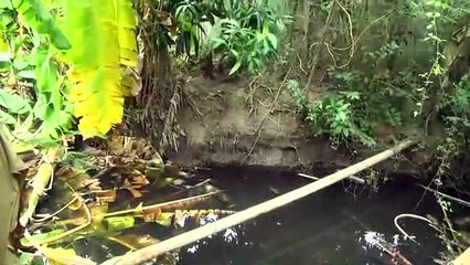 สุพรรณบุรี ปูพรมล่านักโทษแหกคุกสุพรรณบุรีหลังวงจรปิดจับภาพได้ชาวบ้านผวากลัวแพร่เชื้อโควิด (คลิป)