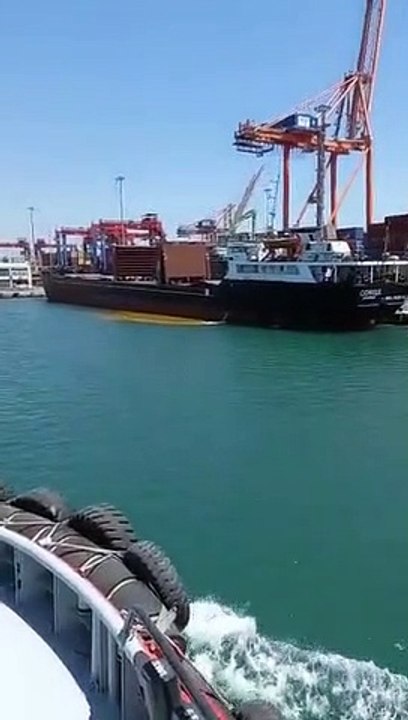 Mersin Limanı'nda skandal görüntüler